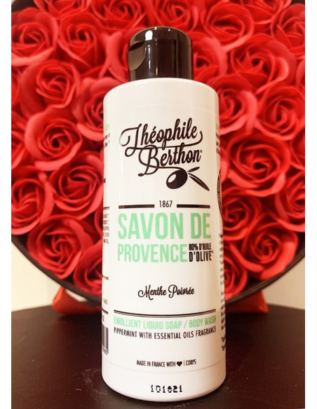 SAVON  PROVENCE TRAVEL MENTHE POIVREE 100ML