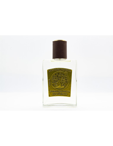 ICE TEA  EDP  M 100ML