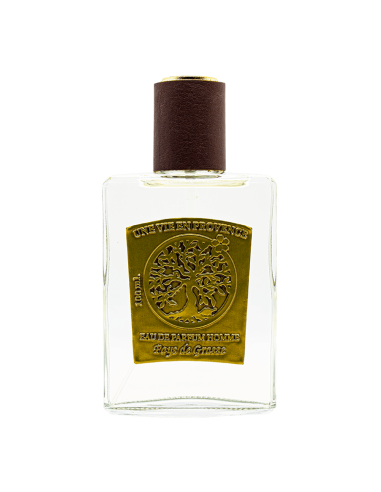 SPICE WOOD  EDP 100ML